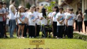 Escola Zulma do Rosário Miranda realiza plantio de árvores com alunos em parceria com a Sema e Acij - Fotografo: Rogerio da Silva - Data: 17/09/2015
