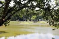 Zoobotânico será reaberto em março - Fotografo: Rogerio da Silva - Data: 20/02/2014