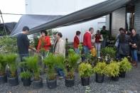 Feira de Mudas de Árvores  - Fotografo: Adilson Girardi/SECOM - Data: 20/07/2013