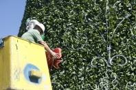 Últimos retoques na decoração e iluminação do Natal dos Sonhos, que tem sua abertura oficial nesta quarta-feira (21/11) - Fotografo: Kátia Nascimento - Data: 19/11/2012