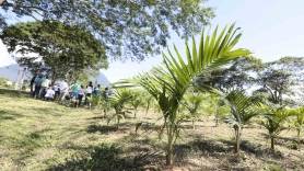 Dia de Campo da Palmácea na Fundação 25 de Julho - Fotografo: Rogerio da Silva - Data: 06/04/2016