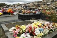 Prefeitura de Joinville orienta sobre cuidados com flores e arranjos nos cemitérios - Fotografo: Secom / Divulgação - Data: 14/10/2015