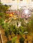 Quase 250 mil pessoas visitam a 74ª Festa das Flores, conforme balanço divulgado nesta segunda-feira (19/11) - Fotografo: Marcelo Caetano/Divulgação Fundação Turística - Data: 19/11/2012