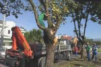 Defesa Civil verifica junto com Bombeiros e Sub-prefeitura de Pirabeiraba estragos causados por temporal. - Fotografo: Phelippe José - Data: 20/01/2015