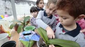 Escola em Flor - Fotografo: Secom - Data: 20/08/2015