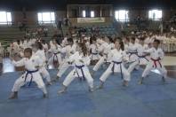 Campeonato karatê - Fotografo: Phelippe José / Secom - Data: 13/10/2015