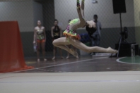 55º JASC em Joaçaba = Ginástica Ritmica = Mariany Miamoto se apresentando no aparelho massa - Fotografo: Phelippe José - Data: 17/12/2015