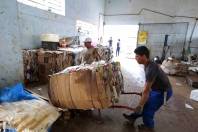Reciclagem - Fotografo: Rogerio da Silva - Data: 25/09/2015