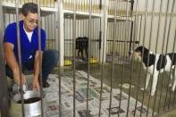 O Centro de Bem-Estar Animal foi entregue oficialmente para a comunidade neste sábado (28/4) , no bairro Vila Nova. Atende cães e gatos vítimas de maus tratos. - Fotografo: Kátia Nascimento - Data: 28/04/2012