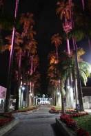 Durante o mês de outubro, a Prefeitura, Pórtico, Rua das Palmeiras e Policlínica do Boa Vista serão iluminados com a cor rosa para promover o movimento Outubro Rosa. - Fotografo: Agobar Gonçalves / Secom - Data: 29/09/2012