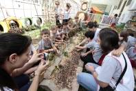 Projeto Horta Semeando o Presente para Colher o Futuro do CEI Espaço Encantado - Fotografo: Rogerio da Silva - Data: 31/10/2013