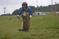 Subprefeitura Sul faz roçada nos canteiros do Eixo Sul - Fotografo: Adilson Girardi - Data: 06/05/2014