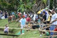 Mais de 300 pescadores irão participar da 4ª edição do já tradicional Festival de Pesca, neste domingo, dia 18 de março, na Fundação Municipal para o Desenvolvimento Rural 25 de Julho, em Pirabeiraba. - Fotografo: Mauro Artur Schlieck - Arquivo SECOM - Data: 15/03/2012