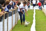 A Corrida do Pato foi a atração principal da 11ª Festa do Pato neste domingo (13/5) na Sociedade Mildau em Pirabeiraba. Dionei Amaral e o Pato Rubinho foram os vencedores. - Fotografo: Kátia Nascimento - Data: 13/05/2012