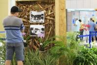 Quem passar pelo Shopping Cidade das Flores, na praça de eventos, pode prestigiar uma Exposição de Fotografias Antigas e Orquídeas.  - Fotografo: Kátia Nascimento - Data: 05/03/2012