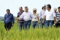 Prefeito Udo Döhler durante o Dia de Campo sobre o cultivo do Arroz na Estrada Blumenau - Fotografo: Jaksson Zanco - Data: 22/03/2013