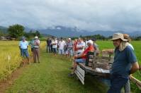 Fundação 25 de Julho e Epagri apresentam resultados de pesquisas com arroz - Fotografo: Divulgação/SECOM - Data: 18/03/2015
