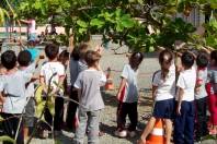 Os alunos do CEI Lírio do Campo estão desenvolvendo o projeto de estudos “A Natureza a ser descoberta – Diferentes Ninhos de Pássaros”. - Fotografo: Divulgação CEI lírio do Campo - Data: 20/03/2012