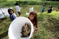 Índios são motivados a criar peixes, fundação 25 de Julho e Funai criam projeto para garantir técnicas de manejo e segurança alimentar à tribo guarani - Fotografo: Rogerio da Silva - Data: 27/04/2014