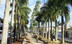 As obras de requalificação da Alameda Brüstlein, mais conhecida como Rua das Palmeiras, serão entregues nesta quinta-feira (5/7), às 19 horas. Equipes finalizam os últimos detalhes. - Fotografo: Mauro Artur Schlieck - Data: 05/07/2012