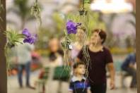 75ª Festa das Flores - Fotografo: Max Schwoelk/Divulgação - Data: 14/11/2013