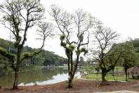 Obras parque zoobotânico - Fotografo: Phelippe José - Data: 09/01/2014
