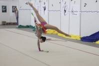 Atleta Amanda Oliveira competindo na ginástica ritmica nos 28º  Joguinhos Abertos em Itajaí - Fotografo: Phelippe José - Data: 27/07/2015