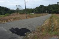 Subprefeitura Centro-norte executa limpeza de terrenos públicos - Fotografo: Adilson Girardi - Data: 05/05/2014