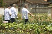 	A entrega das Hortas Urbanas e Periurbanas em Parceria com o Ministério do Desenvolvimento Social de Santa Catarina aconteceu nesta quarta-feira (09) no bairro Jardim Iririú com a presença do prefeito Carlito Merss e da comunidade do local - Fotografo: Kátia Nascimento - Data: 09/11/2011