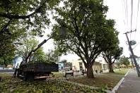 Limpeza da praça da Biblioteca - Fotografo: Rogerio da Silva - Data: 21/11/2013