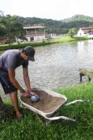 Mais de 300 pescadores são esperados para participar da 4ª edição do já tradicional Festival de Pesca, dia 18 de março, na Fundação Municipal para o Desenvolvimento Rural 25 de Julho, em Pirabeiraba. - Fotografo: Divulgação Fundação 25 de Julho - Data: 14/02/2012