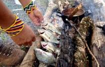Índios são motivados a criar peixes, fundação 25 de Julho e Funai criam projeto para garantir técnicas de manejo e segurança alimentar à tribo guarani - Fotografo: Rogerio da Silva - Data: 27/04/2014