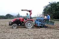 Mecanização facilita produção de aipim em propriedade rural de Pirabeiraba - Fotografo: Rogerio da Silva - Data: 15/08/2013