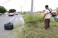 A Prefeitura de Joinville está executando roçada e limpeza do canteiro central da avenida Paulo Schroeder, no bairro Petrópolis - Fotografo: Rogério da Silva - Data: 07/03/2013