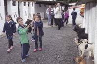 Alunos Escola Abdon Batista visitam abrigo animal no bairro Vila Nova. - Fotografo: Phelippe José - Data: 17/06/2015