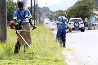 Subprefeitura Sul realiza roçada na Av. Paulo Schroeder - Fotografo: Rogerio da Silva - Data: 27/03/2014