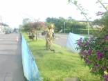 Seinfra intensifica ações de limpeza urbana - Fotografo: Divulgação - Seinfra - Data: 27/06/2014