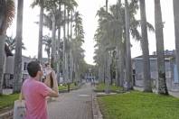Luiz Gustavo da SEMA faz medição nas palmeiras imperiais na Rua das Palmeiras - Fotografo: Phelippe José - Data: 29/01/2015