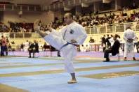 Campeonato Brasileiro de Karatê - Fotografo: Rogerio da Silva - Data: 15/10/2015