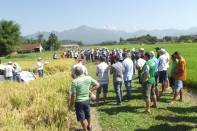 ais de 100 agricultores participaram na manhã dessa quarta-feira (21/3) do Dia de Campo do Arroz, evento promovido em parceria pela Fundação 25 de Julho e Epagri. O evento foi realizado na propriedade de Raul Lafin, na Estrada Blumenau. - Fotografo: Divulgação Fundação 25 de Julho - Data: 21/03/2012