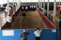 Felej realiza Torneio de Bocha Trio da 3ª Idade na programação da Semana do Idoso. - Fotografo: Phelippe José da Silva - Data: 30/09/2014