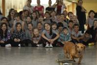 O Projeto “Vivência Intergeracional” integrou os idosos de vários Grupos de Convivência e alunos da Escola Municipal Virginia Soares nesta quarta e quinta-feira, 24 e 25 de outubro. - Fotografo: Kátia Nascimento - Data: 25/10/2012