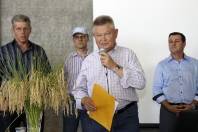 Prefeito Udo Döhler durante o Dia de Campo sobre o cultivo do Arroz na Estrada Blumenau - Fotografo: Jaksson Zanco - Data: 22/03/2013