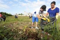Comunidade participa de mutirão de limpeza  Professores, alunos, pais e voluntários retiraram lixo de terreno junto ao mangue localizado perto do CEI Espinheiro - Fotografo: Rogerio da Silva - Data: 27/04/2014