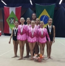 Ginástica rítmica - Fotografo: Secom / Divulgação - Data: 14/09/2015