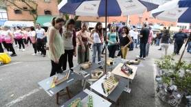Abertura do Dia Mundial Sem Carro e inauguração do primeiro parklet de Joinville, na Travessa Bachmann - Fotografo: Rogerio da Silva - Data: 22/09/2015