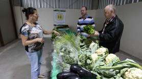 Feira da agricultura familiar oferece vantagens para o consumidor - Fotografo: Rogerio da Silva - Data: 30/09/2015