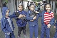 Alunos Escola Abdon Batista visitam abrigo animal no bairro Vila Nova. - Fotografo: Phelippe José - Data: 17/06/2015