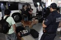 Guarda Municipal de Joinville e Polícia Civil realizam operação de fiscalização em ônibus, na rodoviária. Foram vistoriados principalmente veículos oriundos de Foz do Iguaçu.  - Fotografo: Rogerio da Silva - Data: 14/08/2015