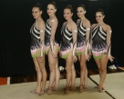 Ginástica Ritmica de Joinville competindo no 53º JASC em Blumenau - Fotografo: Phelippe José - Data: 21/11/2013